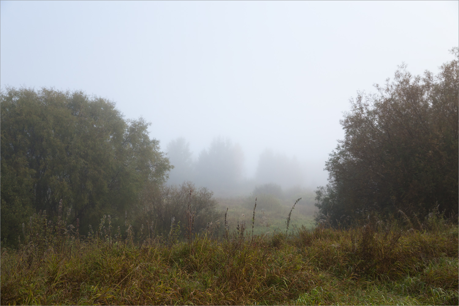 Стрелка Оки и Клязьмы, image of landscape/habitat.