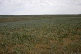 Image of landscape