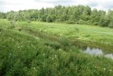 Image of landscape