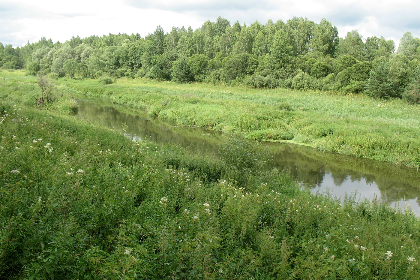 Окрестности деревни Рудаково, image of landscape/habitat.