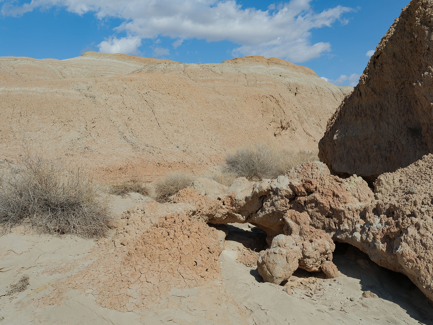 Горы Сырт, image of landscape/habitat.