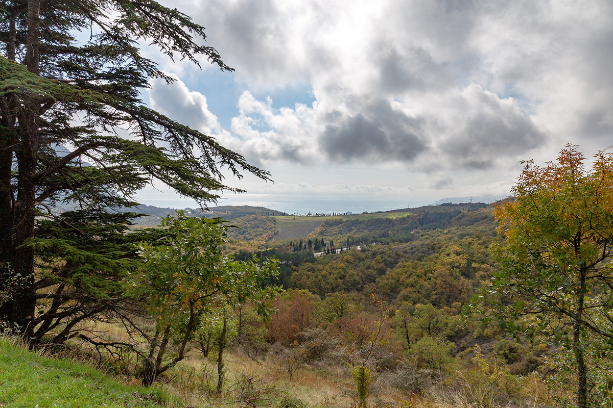 Партенит и окрестности, image of landscape/habitat.