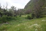 Урочище Тавкветула, image of landscape/habitat.