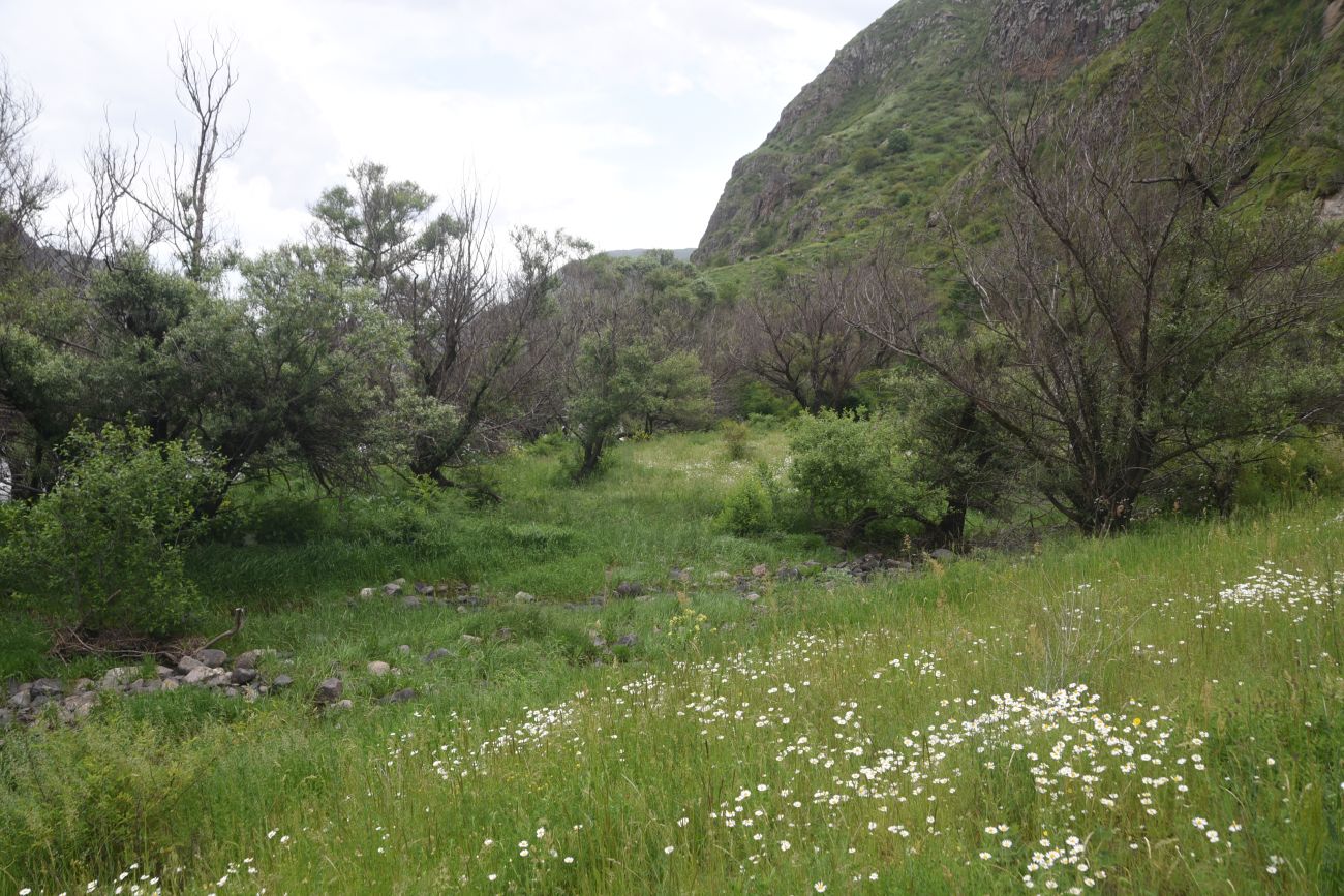 Урочище Тавкветула, image of landscape/habitat.