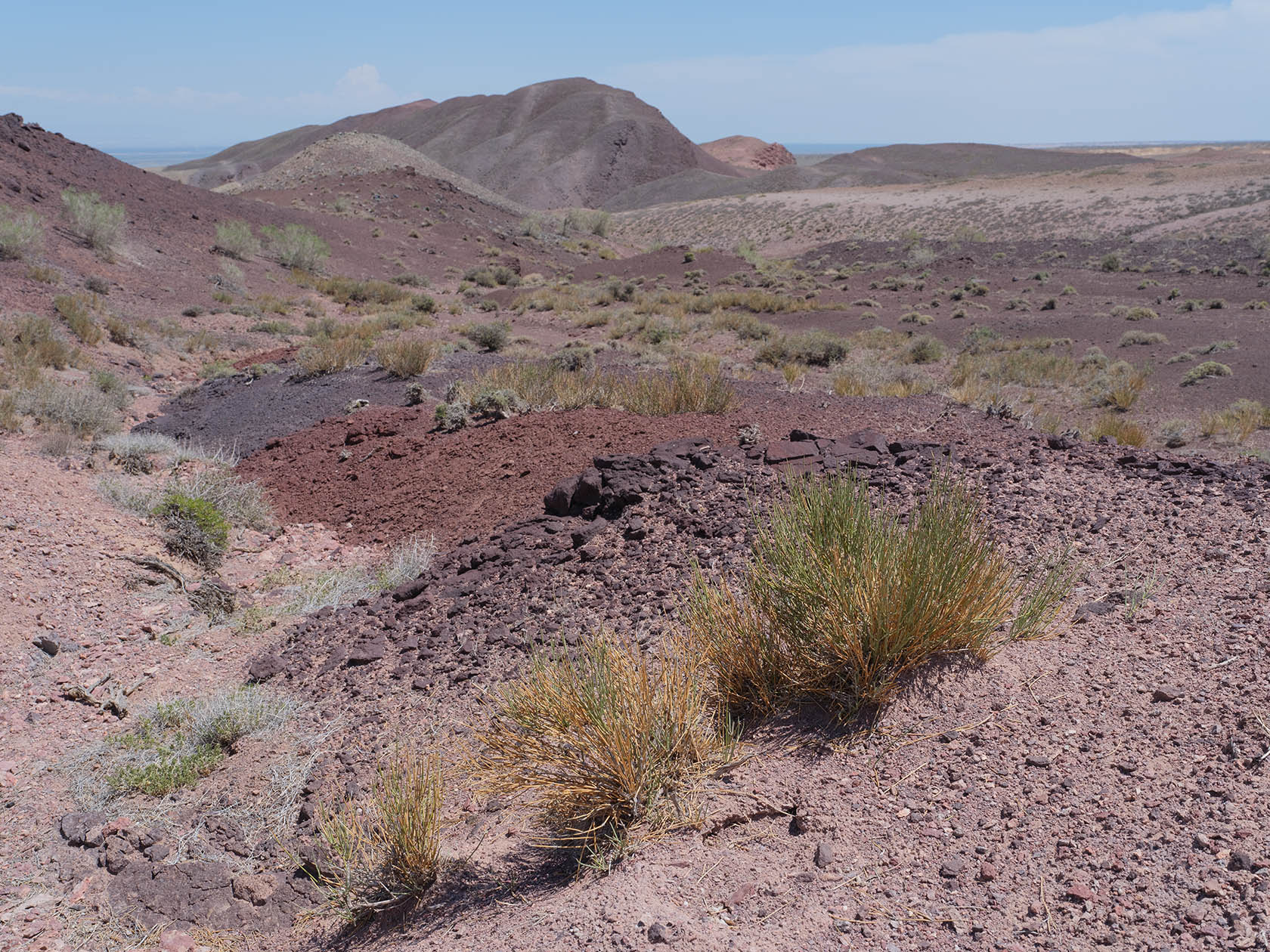 Горы Улькен-Богуты, image of landscape/habitat.
