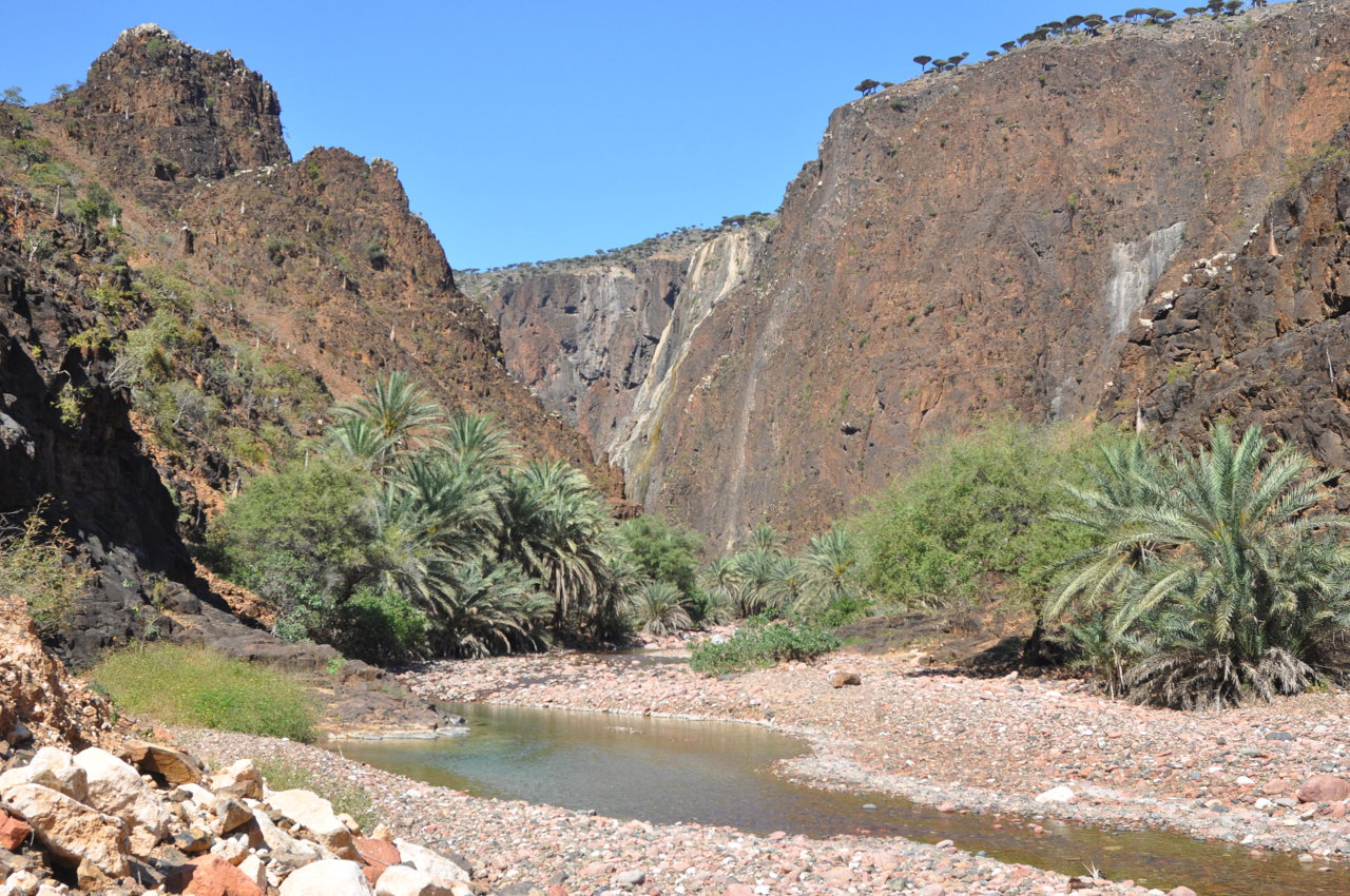 Плато Диксам, image of landscape/habitat.