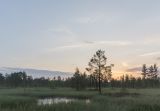 Большое Каринское Болото, image of landscape/habitat.