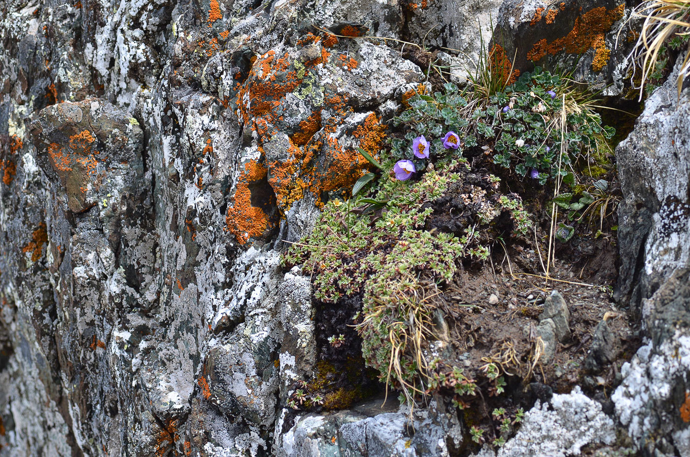 Джеты-Огуз, image of landscape/habitat.