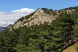 Image of landscape