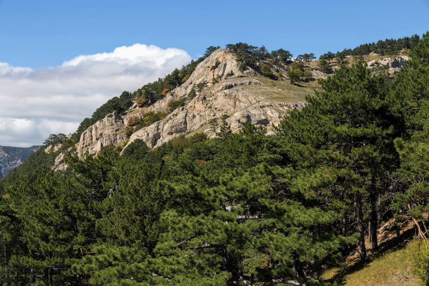Ай-Илья-Сырым, image of landscape/habitat.