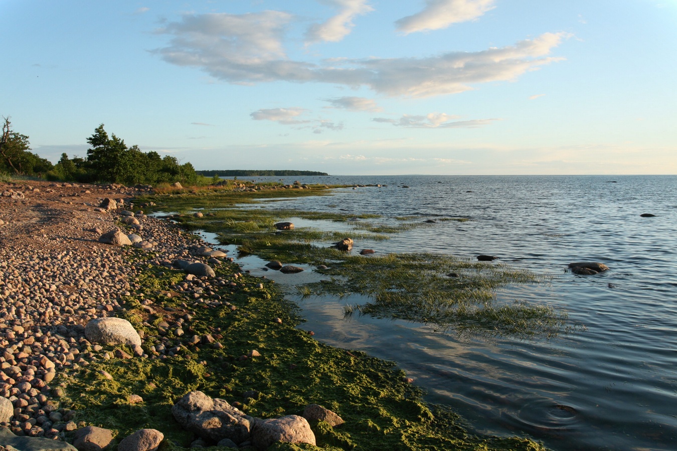 Шепелёвский маяк, image of landscape/habitat.