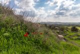 Мареша, image of landscape/habitat.