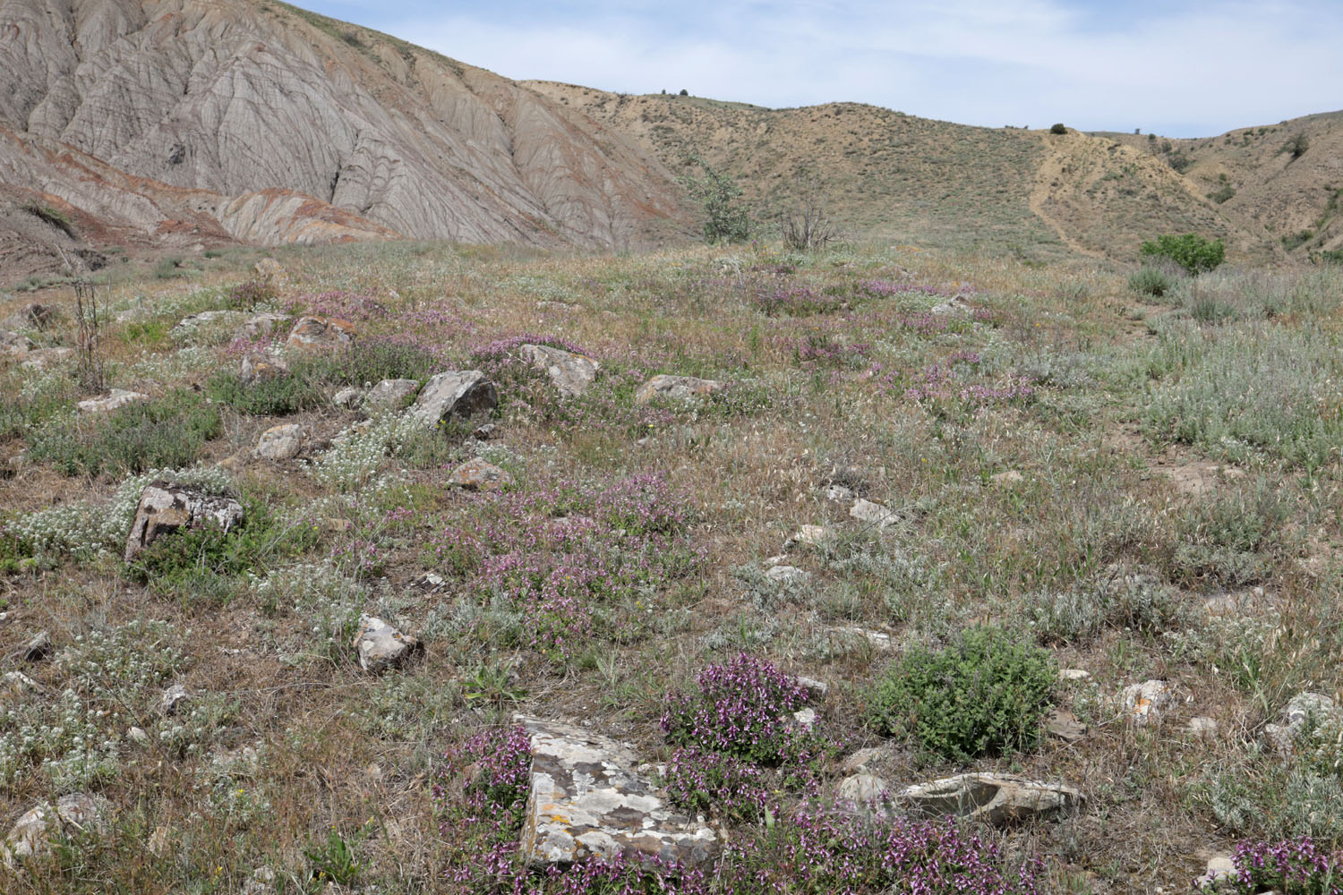 Лисья бухта, image of landscape/habitat.