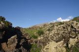 Image of landscape