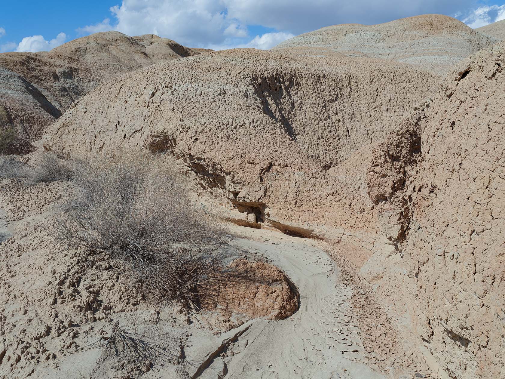 Горы Сырт, image of landscape/habitat.