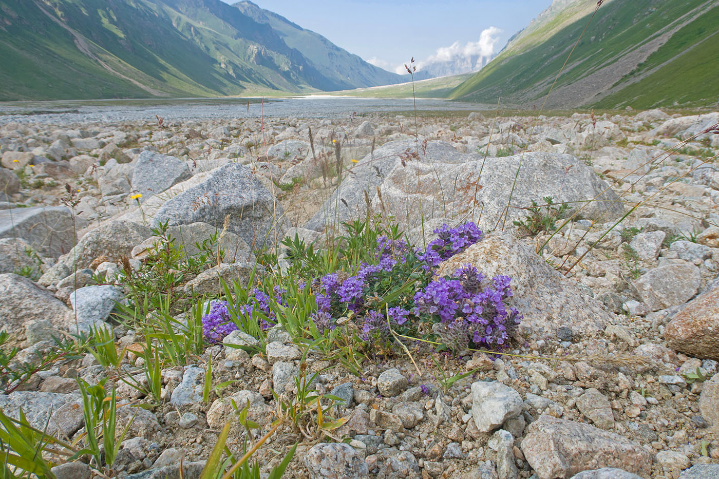 Ледник Нахашбита (Псыгансу), image of landscape/habitat.