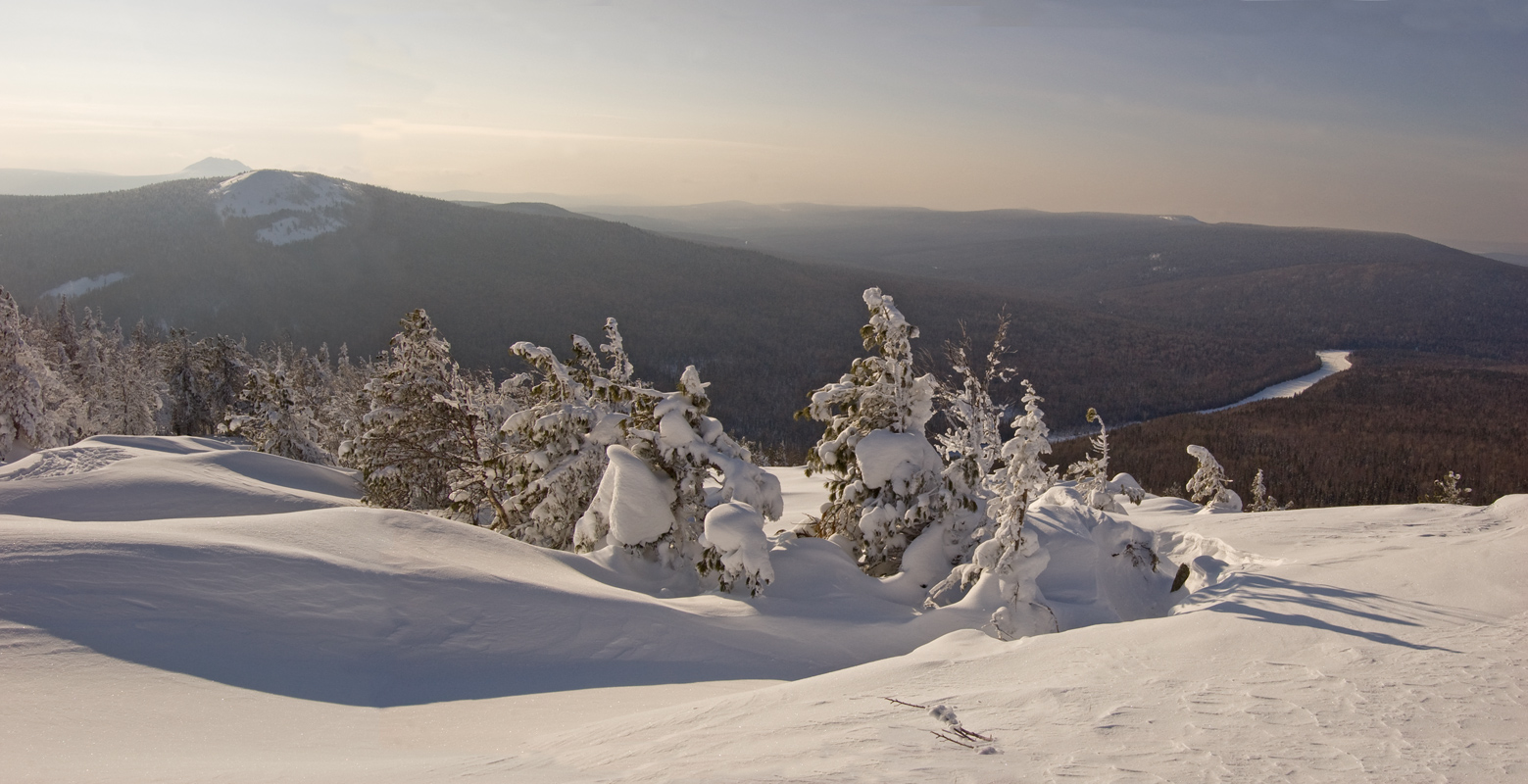 Окрестности поселка Велс, image of landscape/habitat.