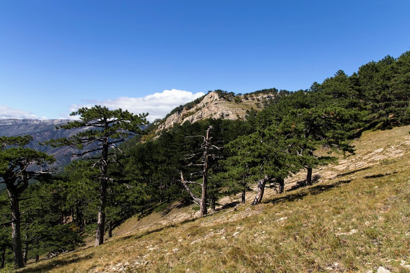 Ай-Илья-Сырым, image of landscape/habitat.