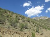 Image of landscape