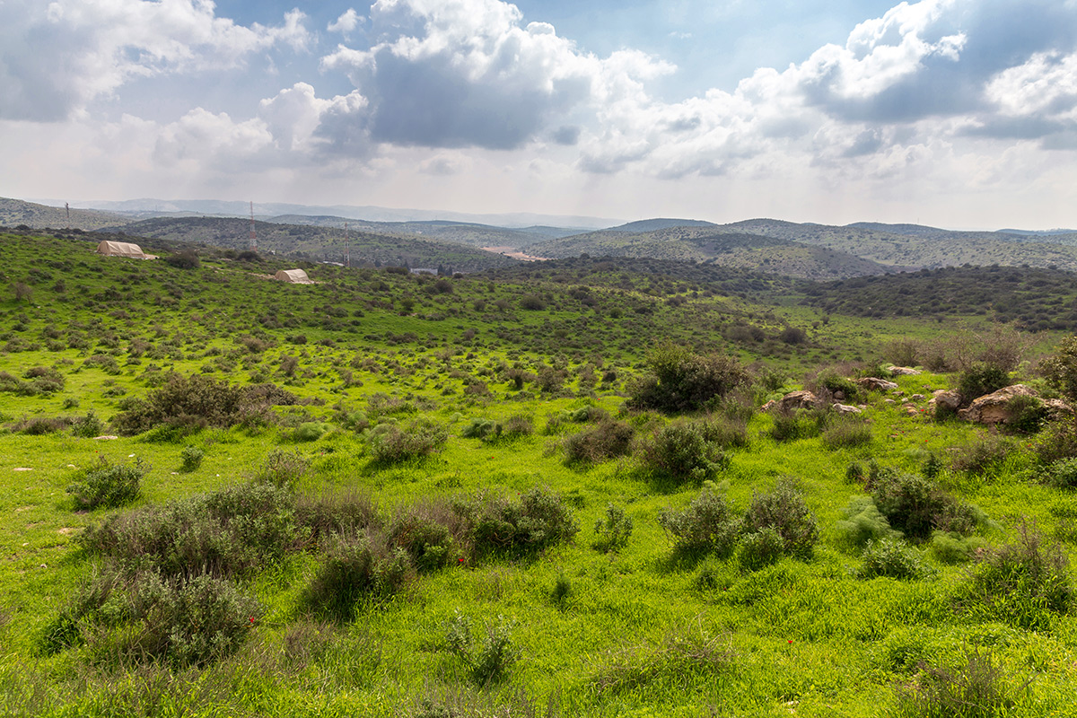 Мареша, image of landscape/habitat.