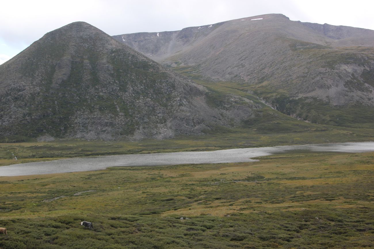 Верховья реки Джумалы, image of landscape/habitat.