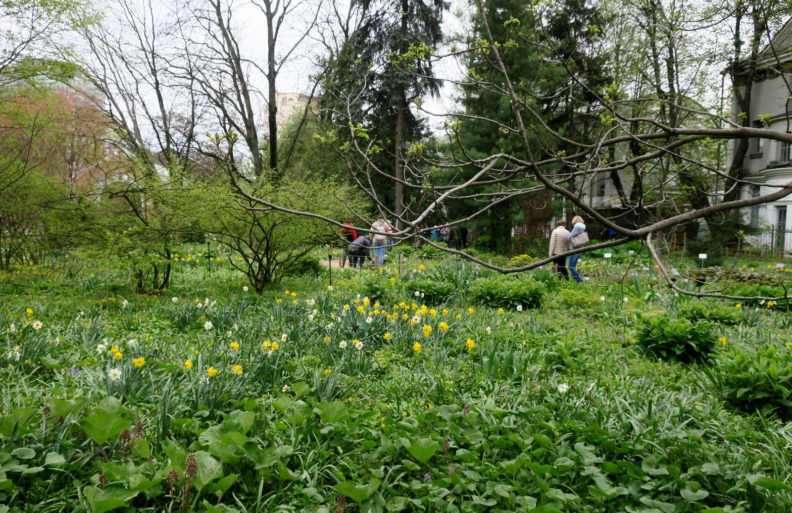 Аптекарский огород, image of landscape/habitat.