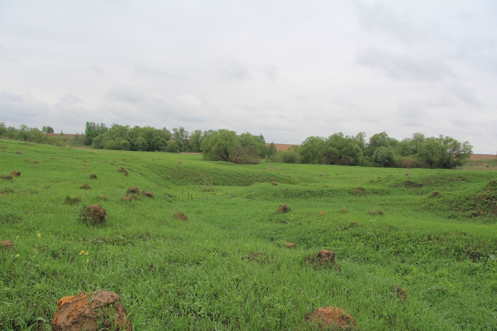 Долина р. Осетрик, image of landscape/habitat.