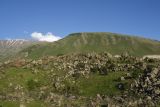 Image of landscape