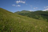 Image of landscape