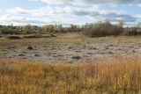 Image of landscape