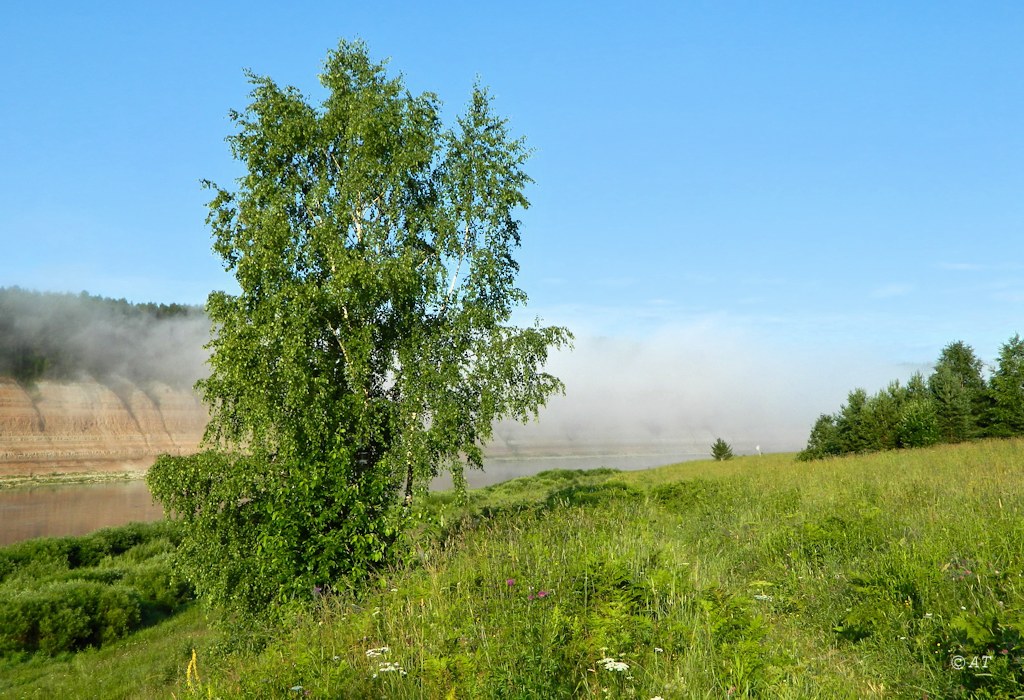 Устье Стрельны, изображение ландшафта.