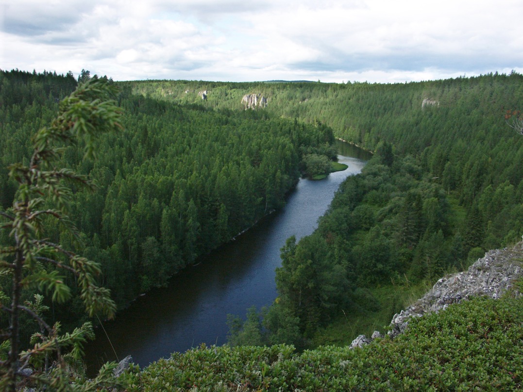 река Ивдель, image of landscape/habitat.