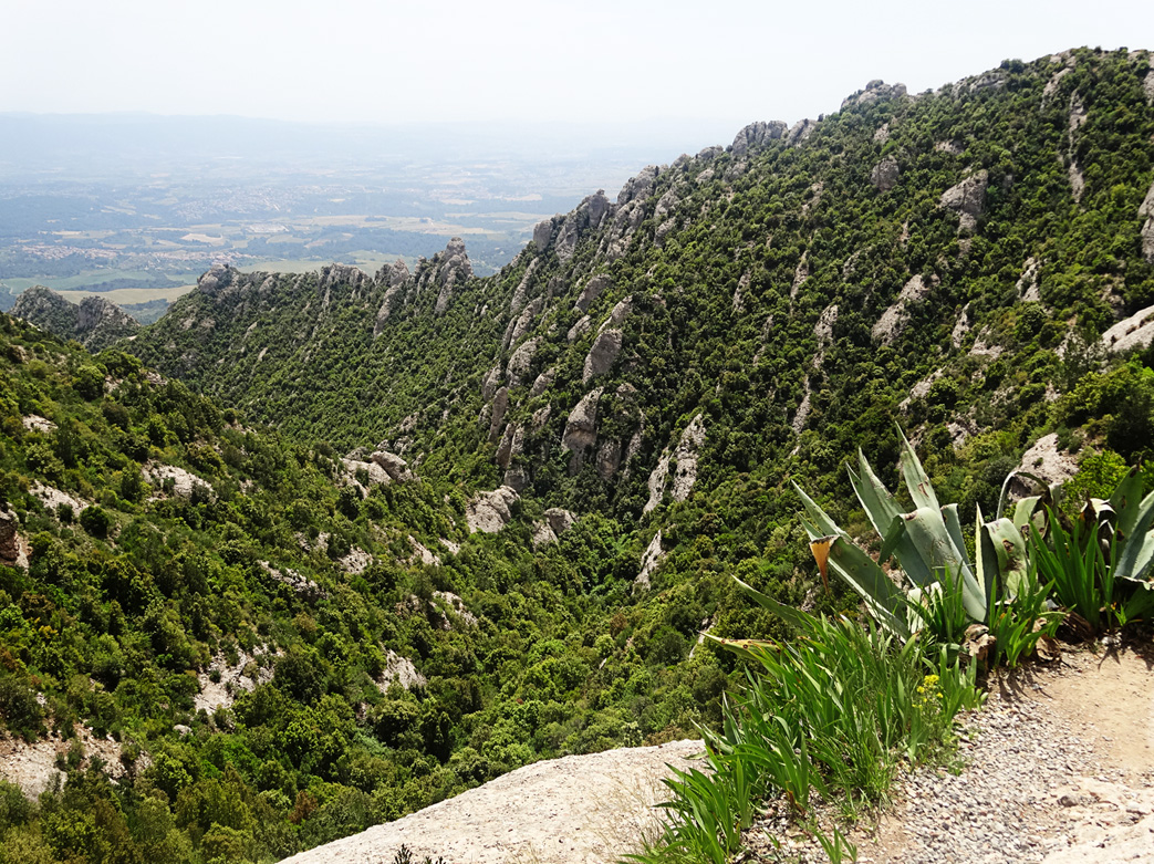 Гора Монтсеррат, image of landscape/habitat.