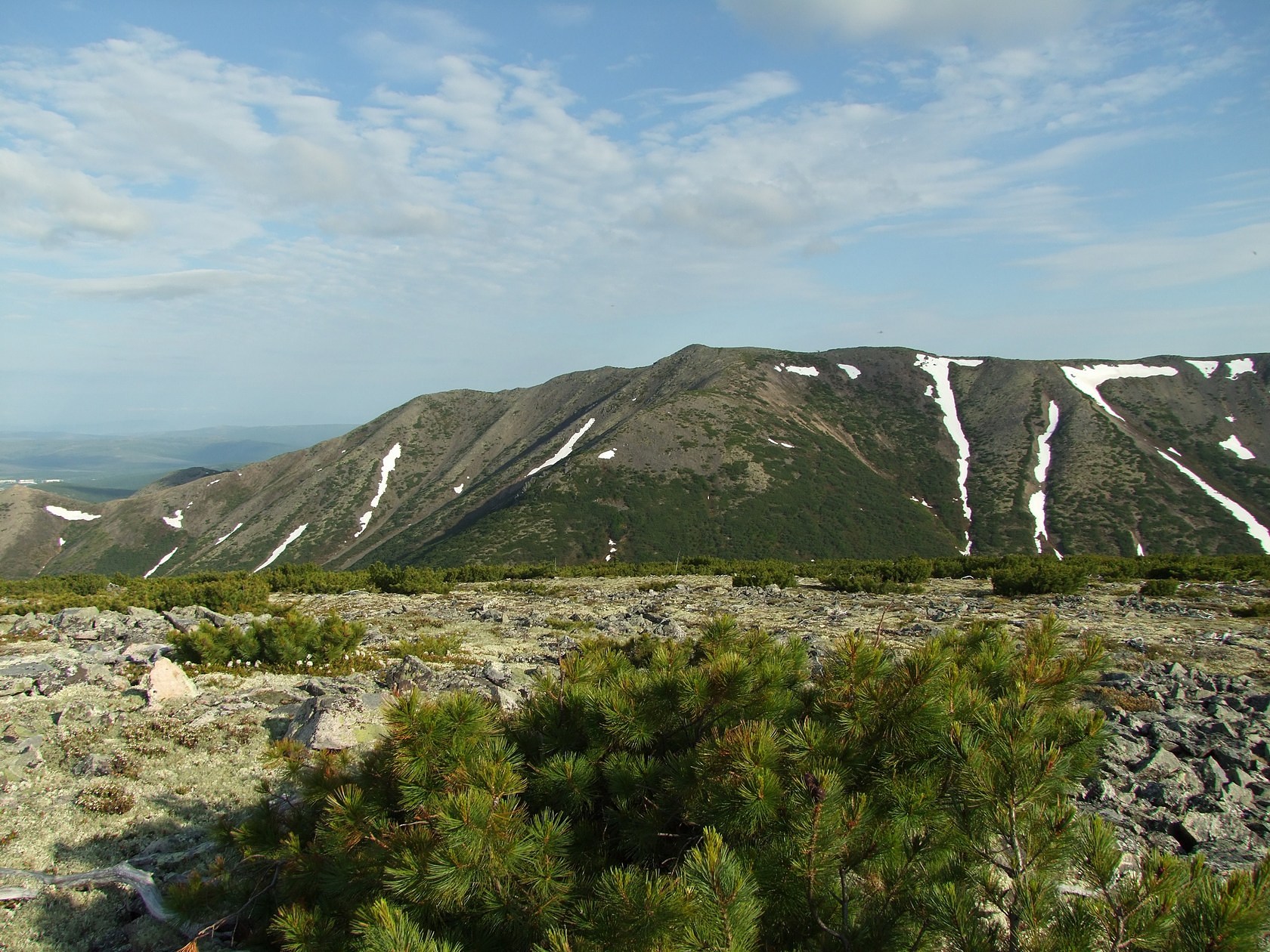 Водораздел Дукчи и Омчика, image of landscape/habitat.