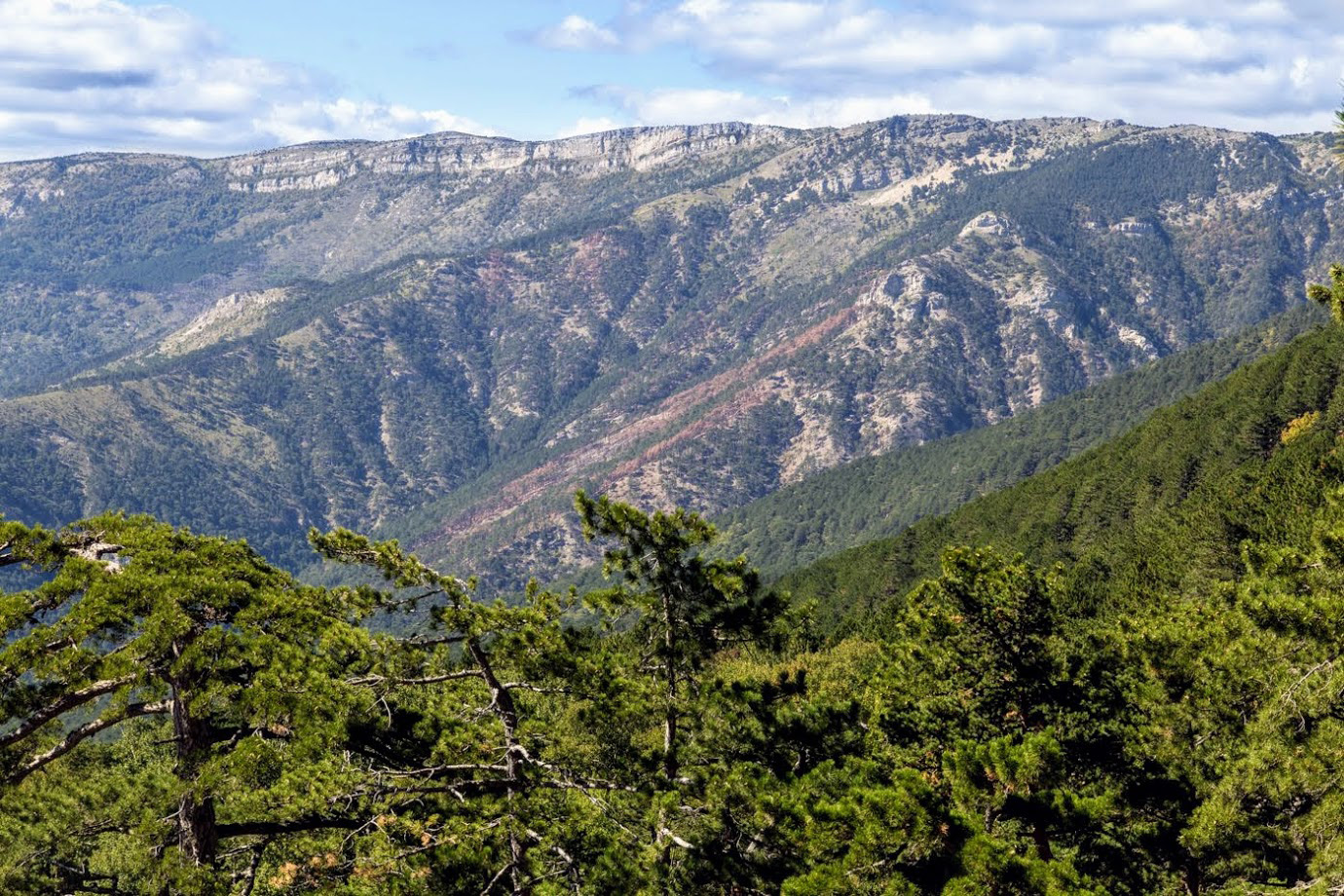 Ай-Илья-Сырым, image of landscape/habitat.