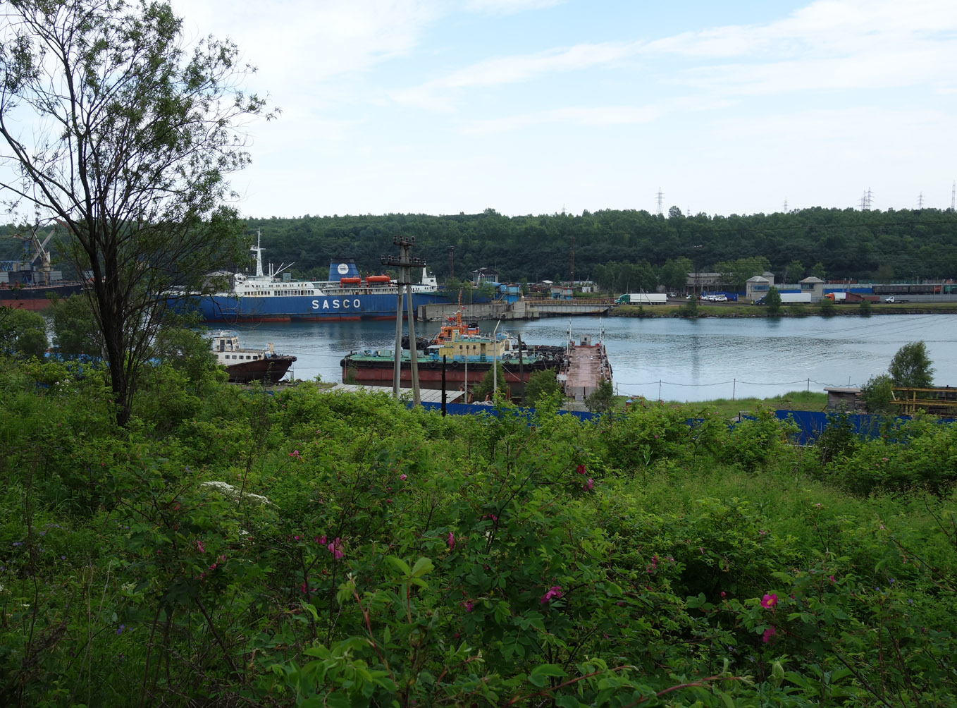 Ванино и окрестности, image of landscape/habitat.