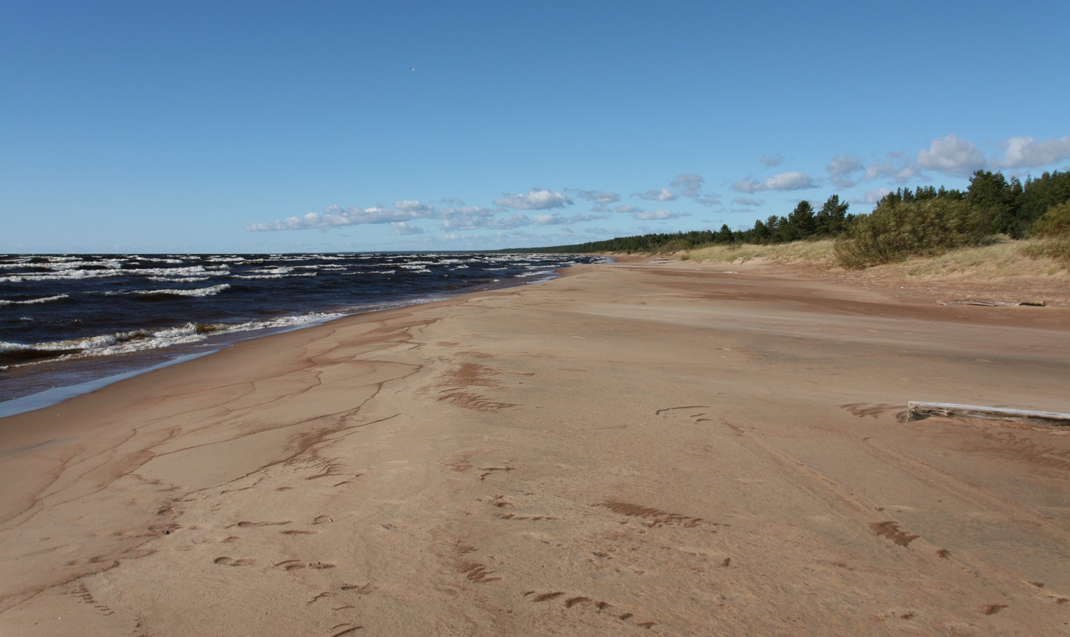 Устье Тулоксы, image of landscape/habitat.