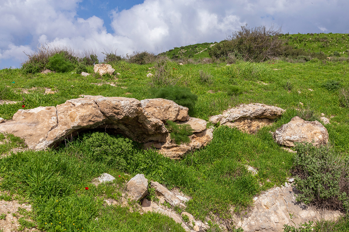 Мареша, image of landscape/habitat.