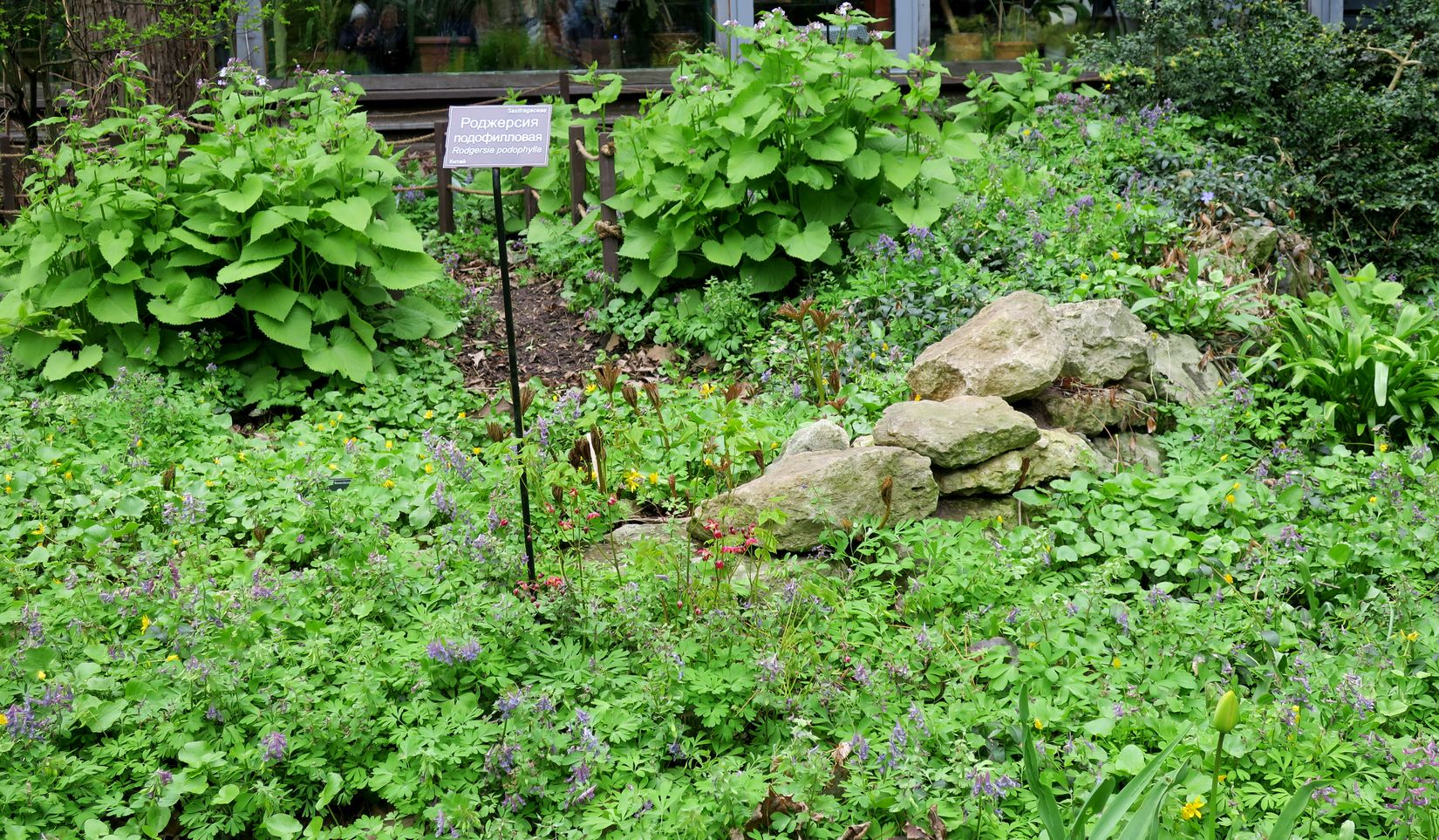 Аптекарский огород, image of landscape/habitat.