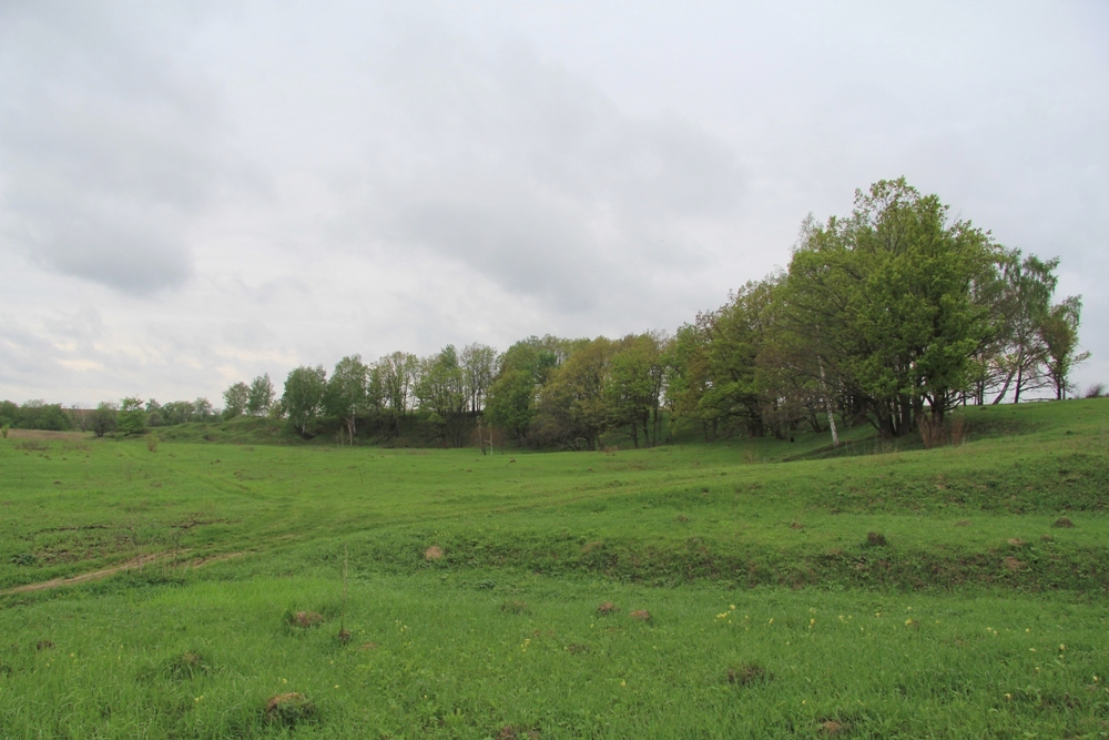 Долина р. Осетрик, image of landscape/habitat.