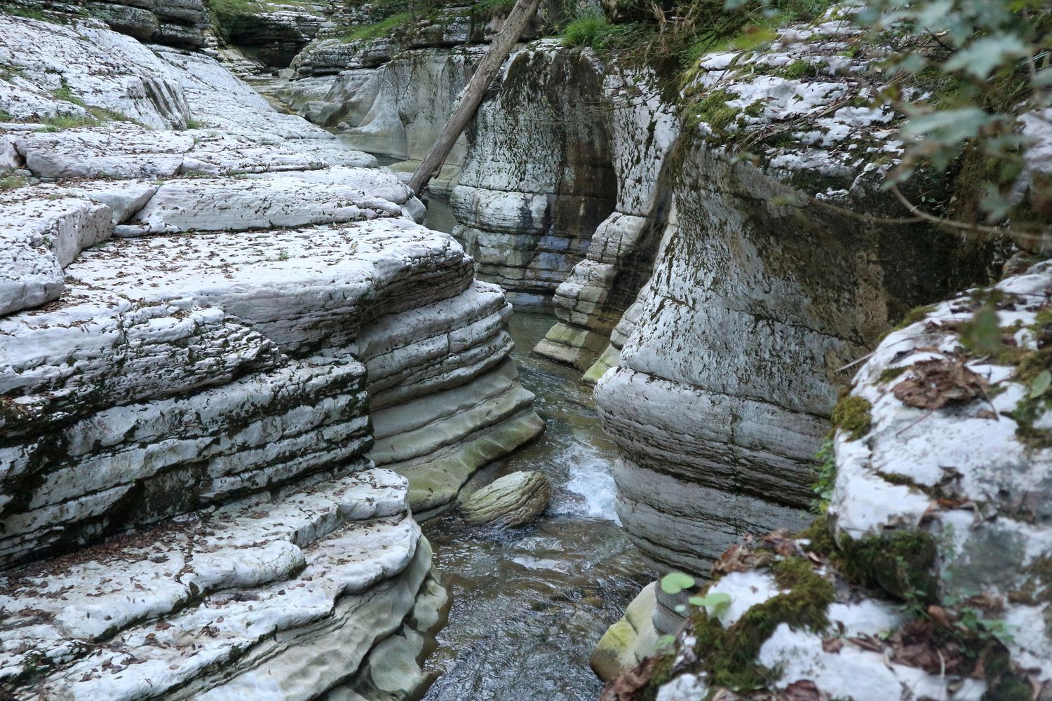 Навалишенское ущелье, image of landscape/habitat.