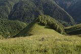 Image of landscape