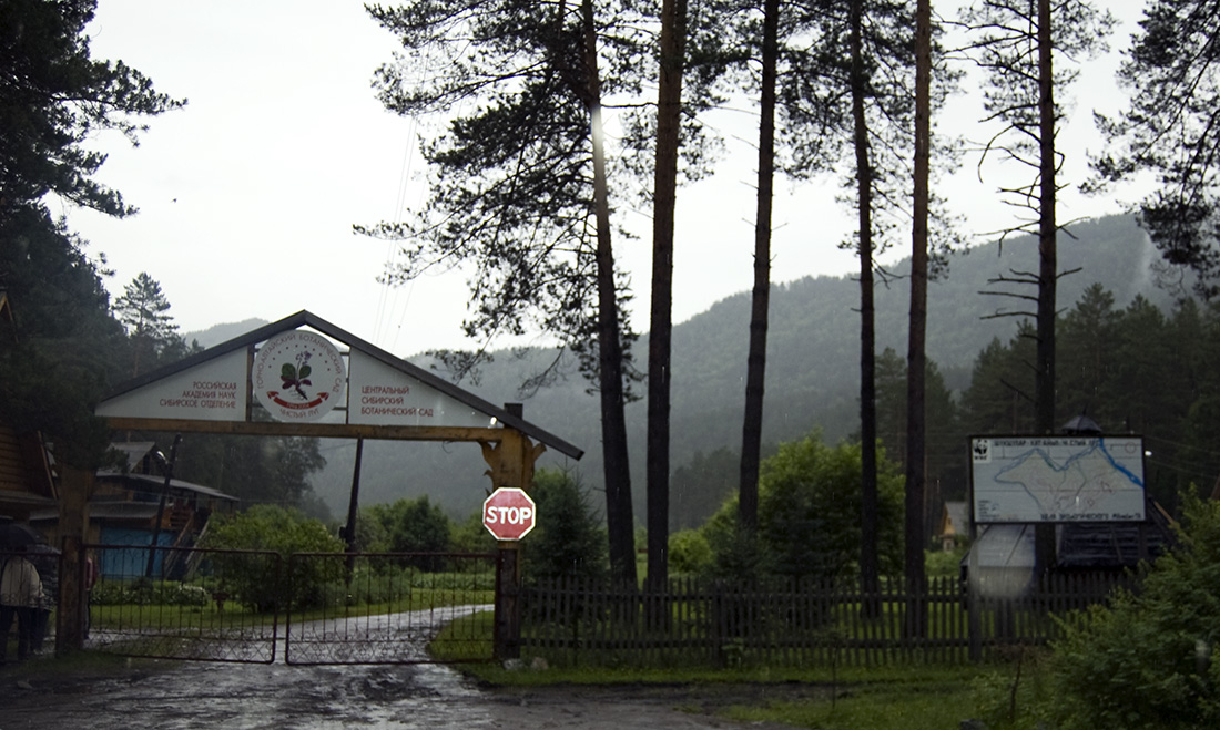 Горно-Алтайский Ботанический Сад, изображение ландшафта.