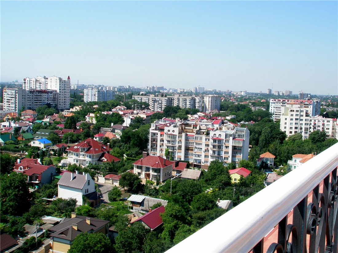 Город и растения, image of landscape/habitat.