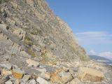 Гора Круглая, image of landscape/habitat.