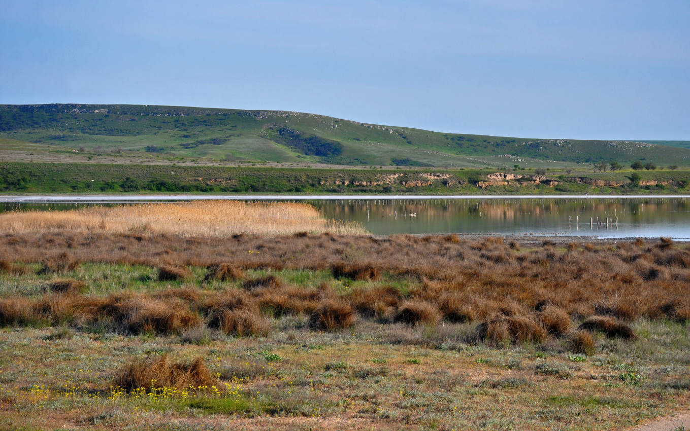 Бухта Морской Пехоты, image of landscape/habitat.