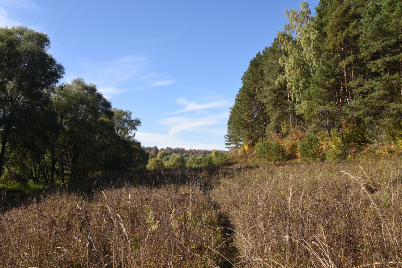 Окрестности деревни Дедюевка, image of landscape/habitat.