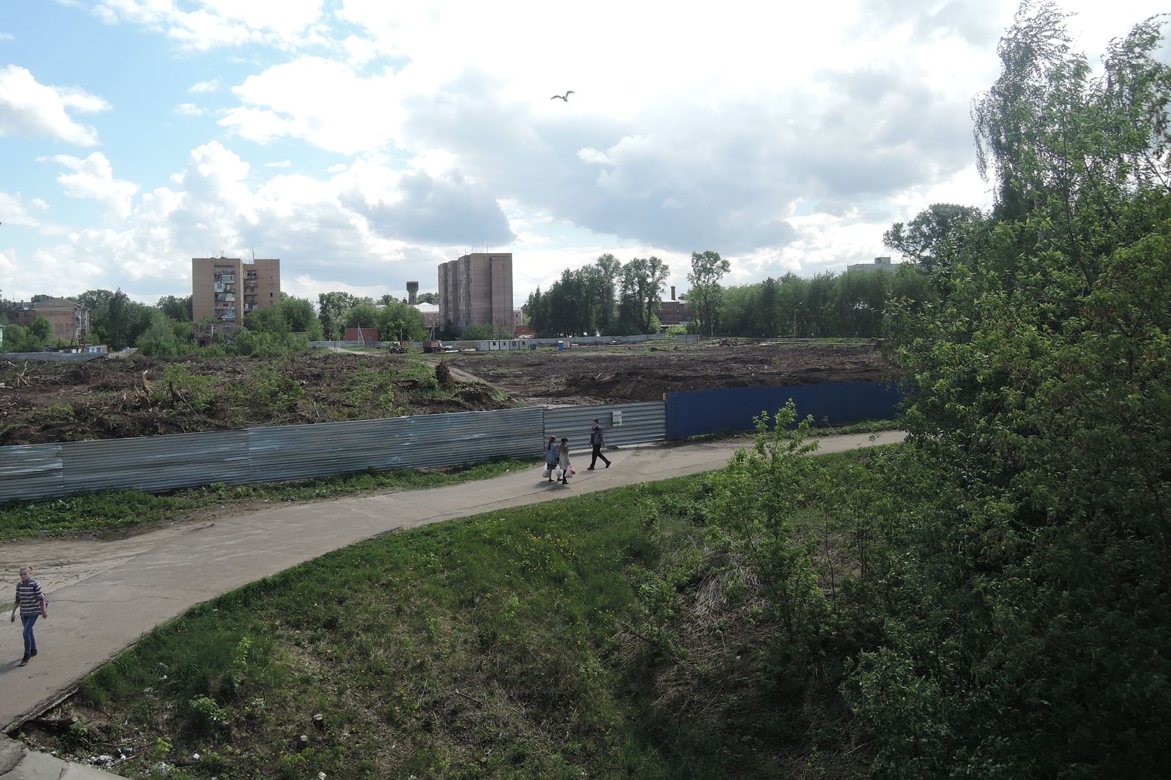 Орехово-Зуево и окрестности, image of landscape/habitat.