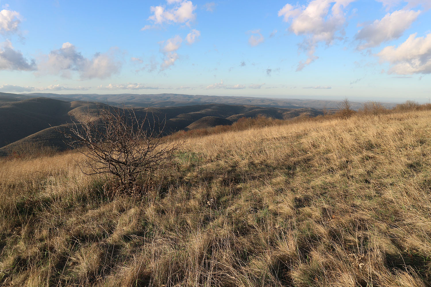 Лысая-Неберджаевская, image of landscape/habitat.