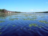 Кальинское водохранилище, изображение ландшафта.